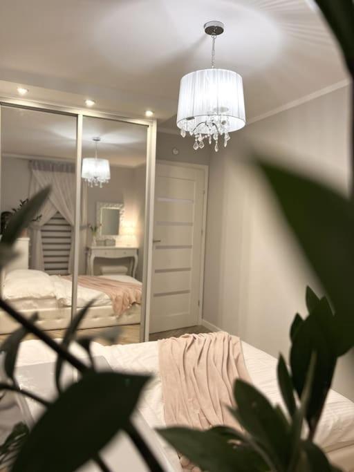 Apartament Zamojski Mlynska Zamość エクステリア 写真