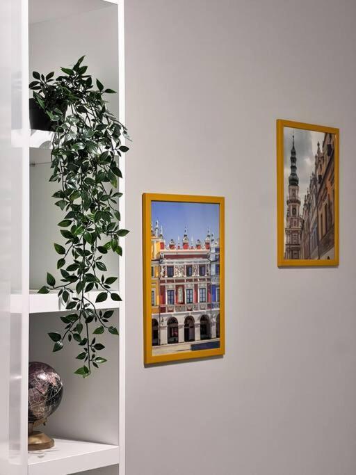 Apartament Zamojski Mlynska Zamość エクステリア 写真